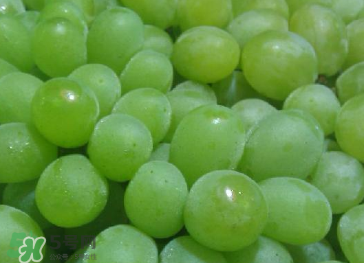 ?青提和葡萄有什么區(qū)別？?青提是葡萄嗎？