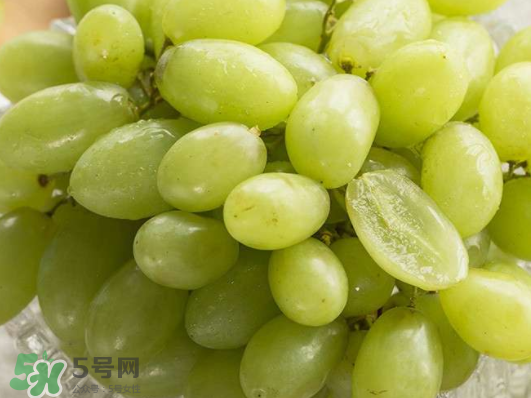?青提和葡萄有什么區(qū)別？?青提是葡萄嗎？