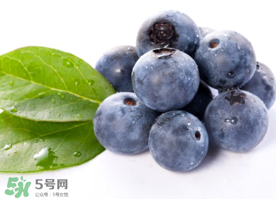 藍(lán)莓是什么顏色？藍(lán)莓泡水什么顏色？