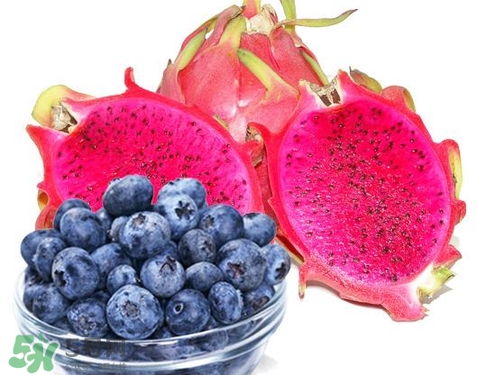 藍莓和火龍果能一起吃嗎？藍莓和火龍果能榨汁嗎？