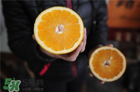 胡柚的作用 胡柚的功效 胡柚的作用 胡柚的功效