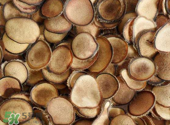 夏天可以吃鹿茸嗎？夏天吃鹿茸會怎么樣？