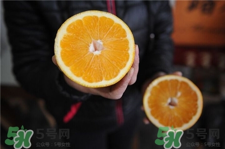 胡柚孕婦可以吃嗎?胡柚與什么相克? 胡柚孕婦可以吃嗎?胡柚與什么相克?