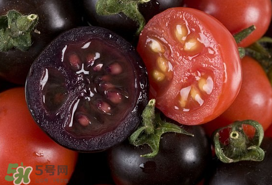藍(lán)莓和番茄能一起吃嗎？藍(lán)莓和西紅柿能一起吃嗎？