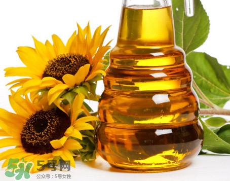 食用油種類有哪些？食用油哪個(gè)牌子好