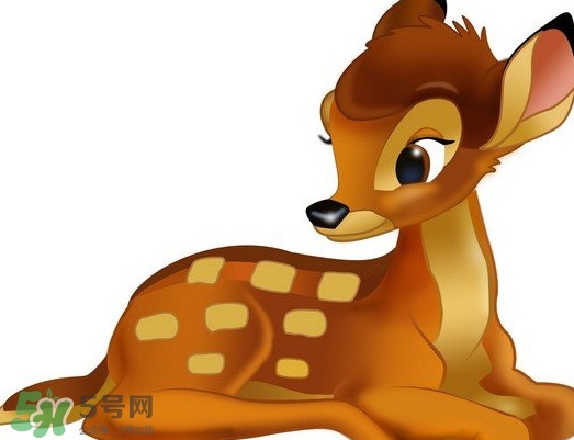 斑比跪是什么意思？斑比跪是什么坐勢(shì)