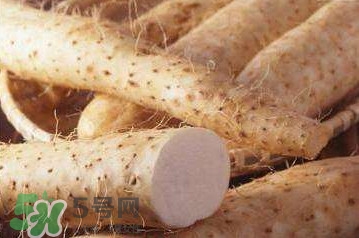 懷山藥與鐵棍山藥的區(qū)別 懷山藥和淮山藥的區(qū)別 懷山藥與鐵棍山藥的區(qū)別 懷山藥和淮山藥的區(qū)別