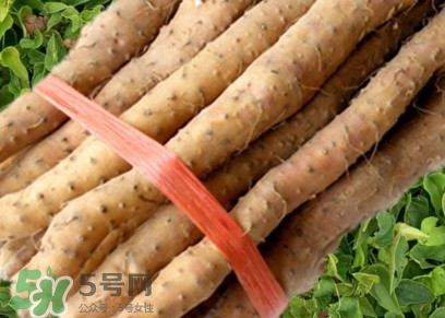 懷山藥可以生吃嗎？懷山藥怎么吃最好