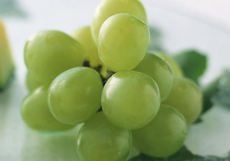 青提是轉(zhuǎn)基因嗎？青提怎么挑？