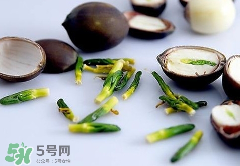 蓮子心能吃嗎？蓮子心是藥食同源嗎