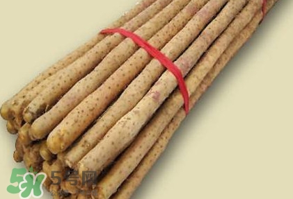 懷山藥是生山藥嗎？懷山藥是鐵棍山藥嗎