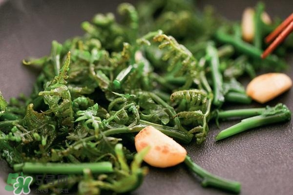 龍須菜怎么清洗？龍須菜怎么處理？