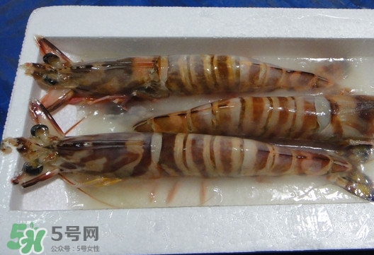 竹節(jié)蝦該怎么吃？竹節(jié)蝦怎么處理干凈