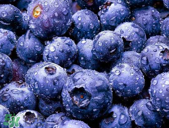 藍(lán)莓和橙子能一起吃嗎？藍(lán)莓和橙子一起吃好嗎？