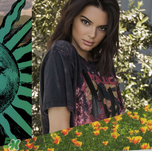 kendall kylie2017復(fù)古系列短袖t恤怎么樣_好看嗎_款式有哪些？