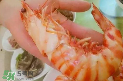 九節(jié)蝦是海蝦嗎？九節(jié)蝦是海蝦還是河蝦