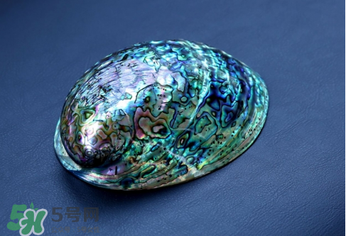 nike foamposite one abalone鮑魚噴什么時候發(fā)售？