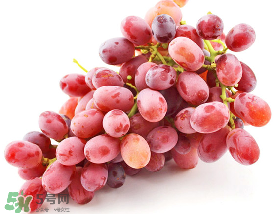 無籽紅提有涂避孕藥嗎？無籽紅提是轉(zhuǎn)基因嗎？