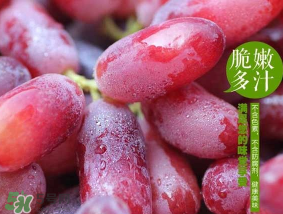 無籽紅提有涂避孕藥嗎？無籽紅提是轉(zhuǎn)基因嗎？