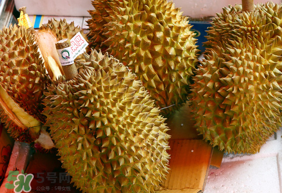 托曼尼榴蓮怎么才是熟？托曼尼榴蓮怎么看生熟？