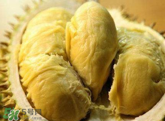 托曼尼榴蓮多少錢？托曼尼榴蓮是哪里的？