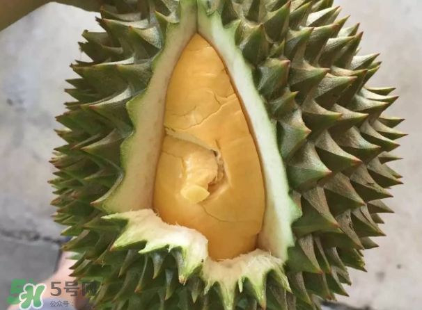 托曼尼榴蓮又叫什么？托曼尼榴蓮簡介