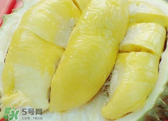 托曼尼榴蓮多大？托曼尼榴蓮好吃嗎？