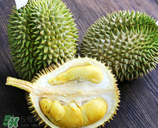 甲侖榴蓮和金枕哪個(gè)貴？甲侖榴蓮和金枕的區(qū)別