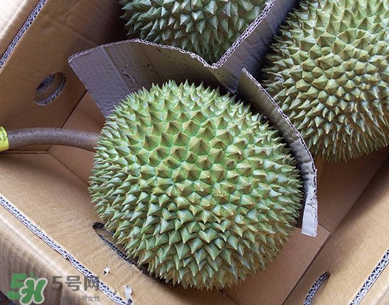 干堯榴蓮怎么樣算熟了？干堯榴蓮怎么挑選？