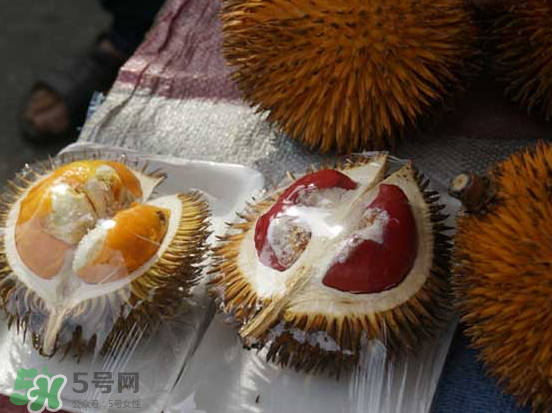 榴蓮核可以煲湯嗎？榴蓮核可以煲雞湯嗎？