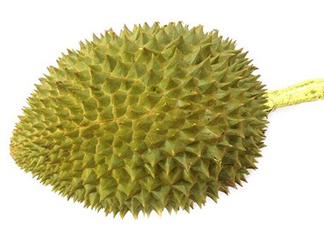 托曼尼榴蓮多少錢？托曼尼榴蓮是哪里的？