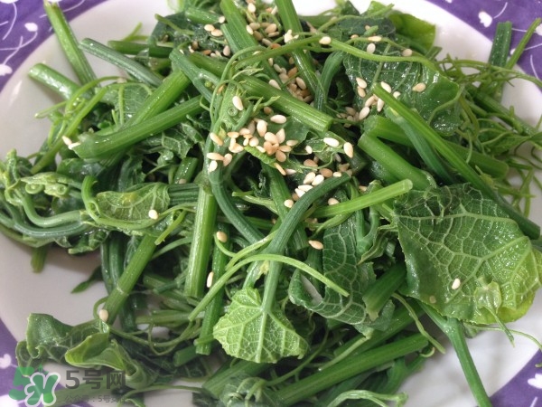 龍須菜怎么清洗？龍須菜怎么處理？