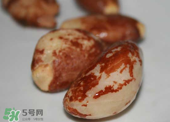 榴蓮核可以煲湯嗎？榴蓮核可以煲雞湯嗎？