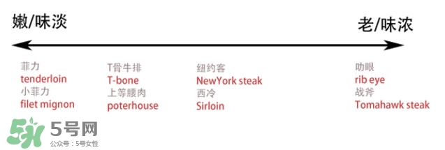 牛排是牛的哪個部位？牛排是牛身上哪塊肉？