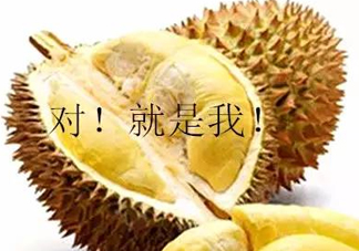 多大的小孩可以開始吃榴蓮？寶寶多大可以吃榴蓮？