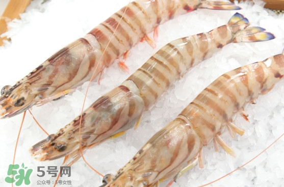 竹節(jié)蝦是海里的嗎？竹節(jié)蝦是海蝦還是河蝦