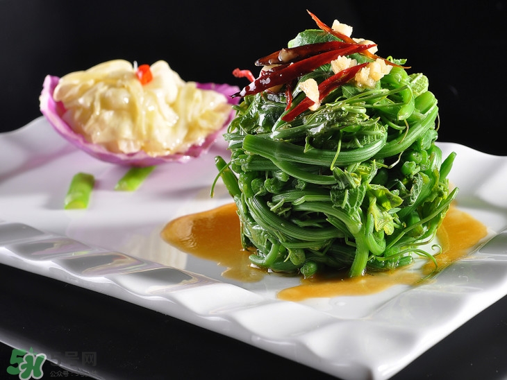 龍須菜有幾種？龍須菜多少錢一斤？