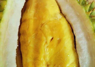 甲倫榴蓮幾月份成熟？泰國(guó)甲倫榴蓮多少錢一個(gè)？