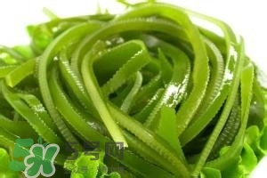 鮮海帶怎么做好吃？鮮海帶怎么保存？