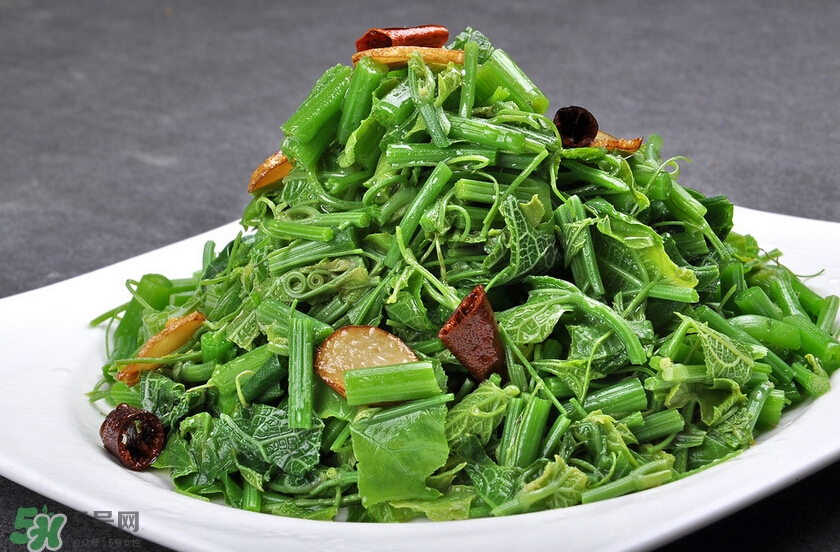 龍須菜怎么清洗？龍須菜怎么處理？