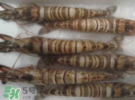 九節(jié)蝦多少錢一斤？九節(jié)蝦跟基圍蝦是一個(gè)品種嗎