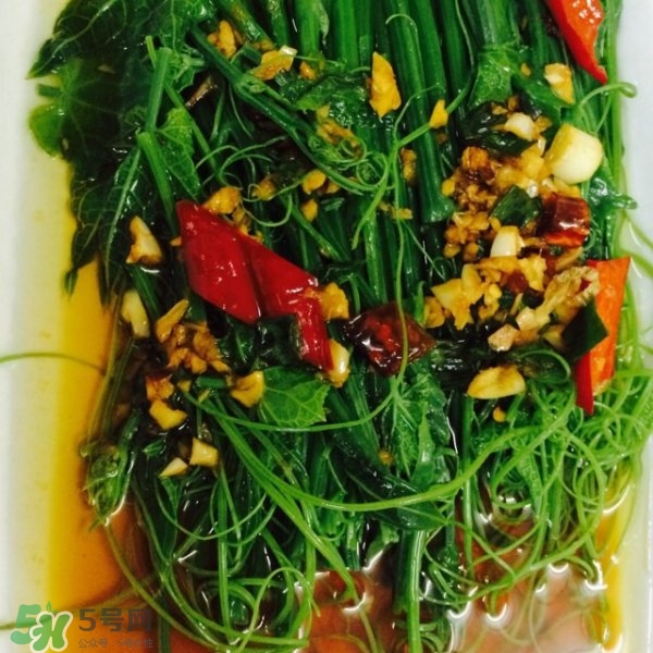 龍須菜怎么清洗？龍須菜怎么處理？