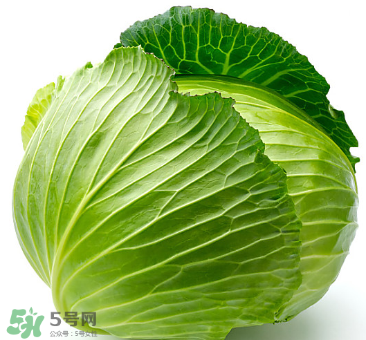 8月份吃什么蔬菜？八月份適合吃什么蔬菜？