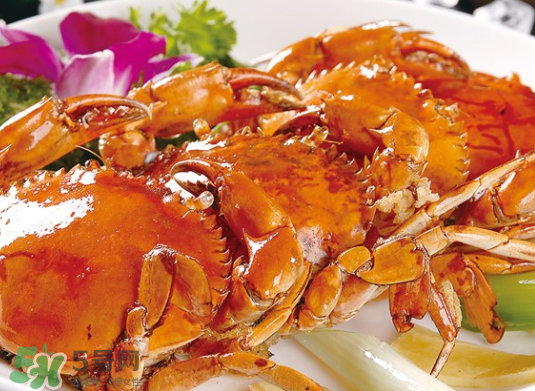 8月份吃什么螃蟹？8月份吃公蟹還是母蟹？