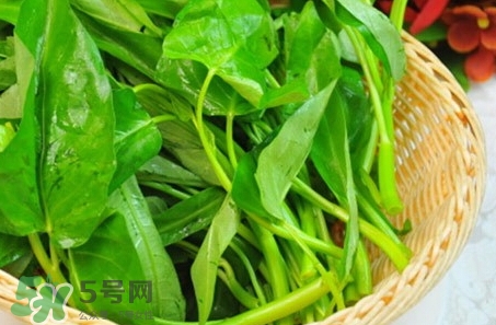 通心菜怎么保存?通心菜怎么保鮮? 通心菜怎么保存?通心菜怎么保鮮?