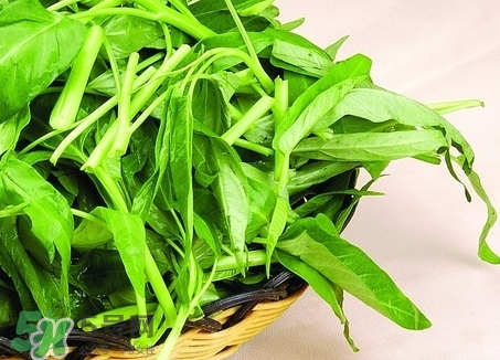 通心菜不能和什么一起吃?通心菜和什么食物相克? 通心菜不能和什么一起吃?通心菜和什么食物相克?