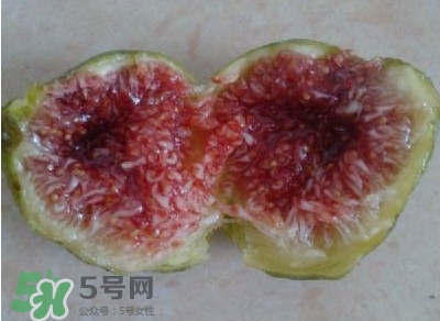 無花果是水果嗎？無花果是什么季節(jié)的水果