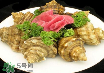 海螺可以冷凍嗎？海螺放冰箱能保存多久