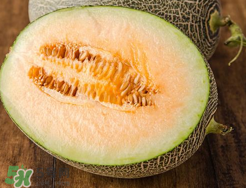 西州蜜瓜多少錢一斤？西州蜜瓜怎么挑選？