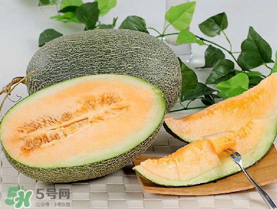 西州蜜瓜什么季節(jié)熟？西州蜜瓜幾月份成熟？